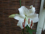 2008_07190081_640.JPG