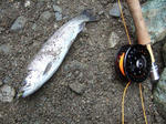 2008_08230010_640.JPG