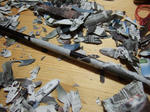 2008_09200134_640.JPG