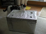 2008_11010002_640.JPG