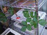 2008_11010008_640.JPG