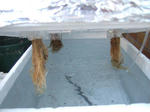 2008_11010010_640.JPG