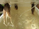 2008_11160007_640.JPG