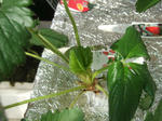 2008_11160009_640.JPG