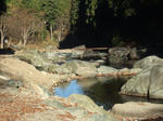 2008_11210055_640.JPG