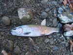 2008_11210059_640.JPG