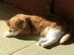 2008_11220066_640.JPG
