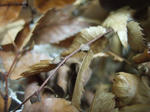 2008_11220069_640.JPG