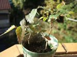 2008_11300030_640.JPG