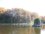 2008_12060003_640.JPG