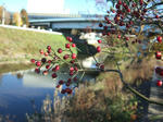 2008_12070017_640.JPG