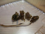 2009_02010024_640.JPG