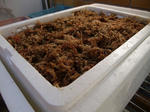 2009_02010026_640.JPG