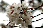IMG_0763_640.jpg