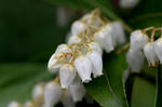 IMG_0747_640.jpg