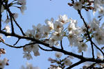 IMG_0784_640.jpg