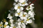 IMG_0802_640.jpg