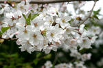 IMG_0884_640.jpg