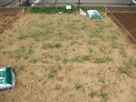 2009_04120002_640.JPG