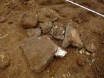 2009_04180013_640.JPG