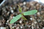 2009_04190044_640.JPG