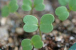 2009_04190038_640.JPG