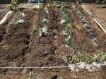 2009_04260023_640.JPG