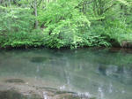 DSCF2592.JPG