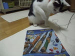 2009_05300036_640.JPG