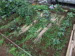 2009_05310001_640.JPG
