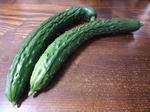 2009_06060002_640.JPG