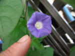 2009_06280031_640.JPG