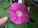 2009_06280032_640.JPG