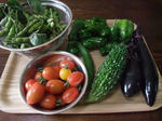 2009_07040024_640.JPG