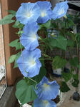 2009_07050002_640.JPG