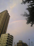 Image363_640.jpg