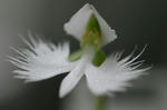 2009_08020010_640.JPG