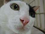 2009_08010012_640.JPG