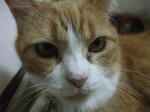 2009_07210069_640.JPG