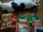 2009_08160026_640.JPG