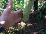 2009_08160028_640.JPG