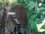 2009_08160030_640.JPG