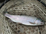 2009_08160007_640.JPG