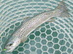 2009_08160006_640.JPG