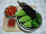 2009_09020024_640.JPG