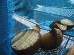 2009_08300002_640.JPG