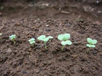 2009_09020012_640.JPG