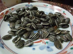2009_09080001_640.JPG