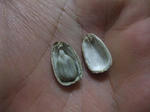 2009_09080002_640.JPG