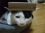 2009_09200006_640.JPG